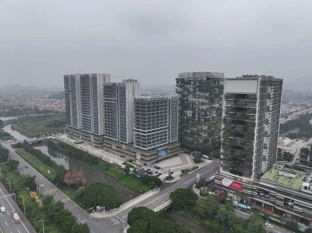对碧桂园正式提出清盘呈请！这家公司是什么来头？(图1)
