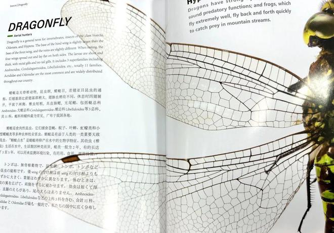 国产1200dpi高清喷墨时代到来1200dpi国产喷墨印刷设备大盘点(图7)