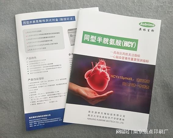 南京品牌公司宣传册设计-南京异形折页印刷-台历印刷批发(图3)