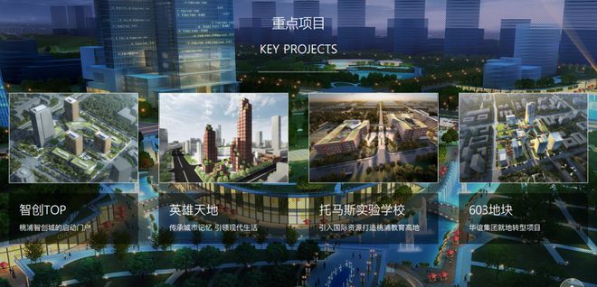 中环桃源里(2024年桃浦中环桃源里)官方网站-楼盘详情-户型配套(图10)