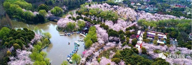 『中建山水雅境』2024售楼处官方网站-中建山水雅境-评测-房天下(图18)