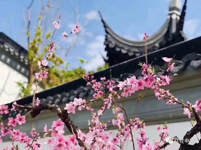 2024上海桃花源-售楼处官方网站--上海桃花源-房天下(图3)