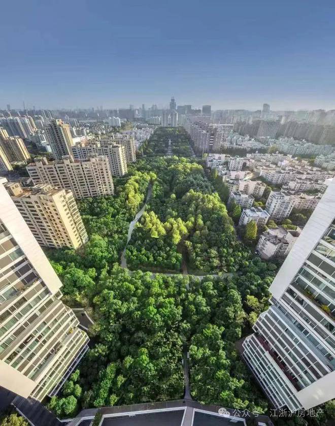 2024中鹰黑森林售楼处(中鹰黑森林)官方网站--上海房天下(图3)