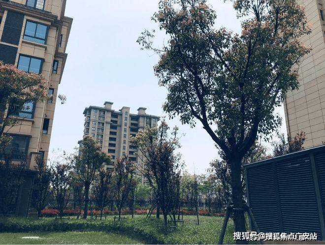 2024水榭兰亭（水榭兰亭）官方网站_官方_上海房天下(图10)