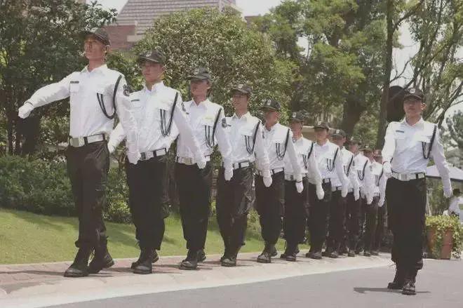 朗拾花语（2025官方网站最新发布）朗拾花语内幕大揭秘(图23)